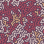 Coralmaze