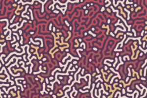 Coralmaze Fotobehang