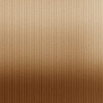 Cardboard