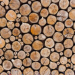Wood