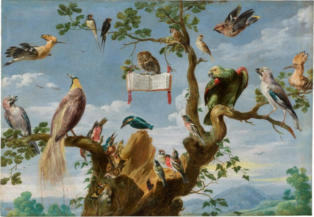 Vogelconcert - Snyders Akoestisch Paneel
