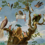 Vogelconcert - Snyders