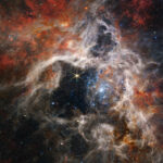 Tarantula-nevel — JWST