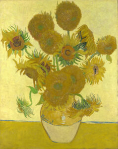 Zonnebloemen