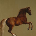 Whistlejacket - Stubbs
