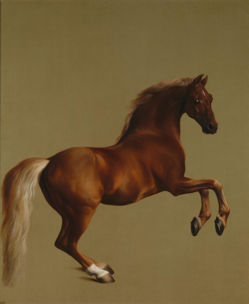 Whistlejacket - Stubbs Muurcirkel